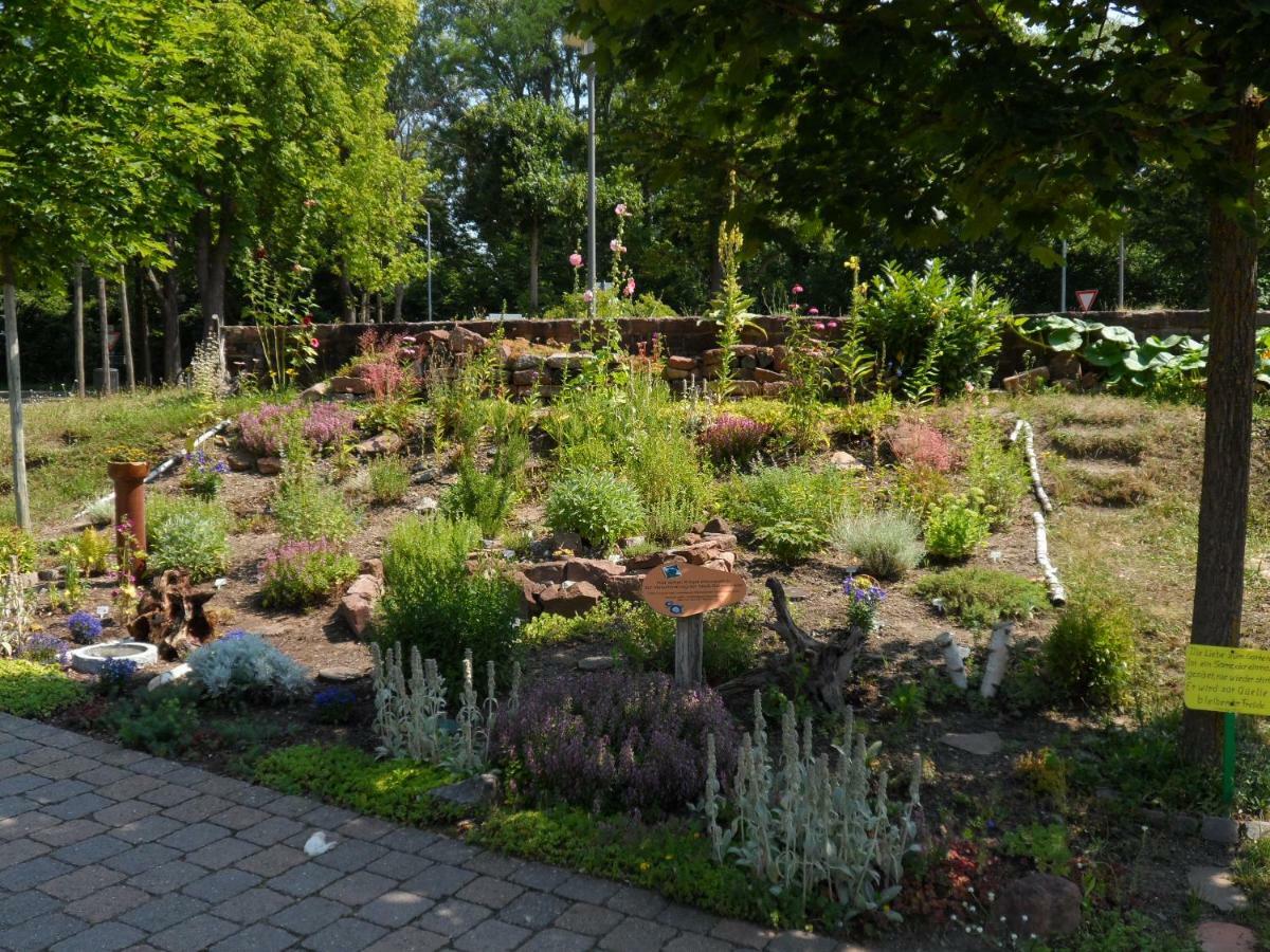 Ferienwohnung Orchidee Germersheim Buitenkant foto