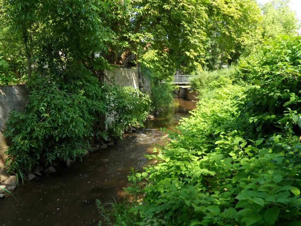 Ferienwohnung Orchidee Germersheim Buitenkant foto